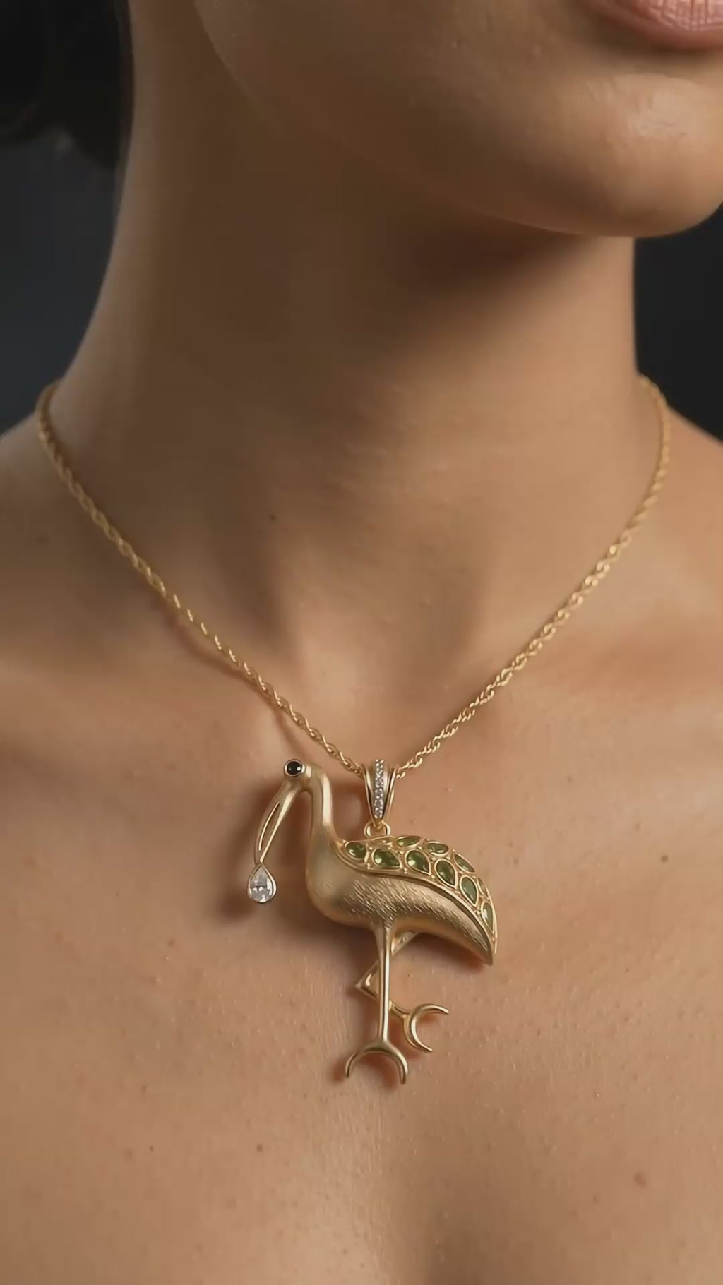 P03H CZ. & Black SpinalCranes Bird Pendant Necklash